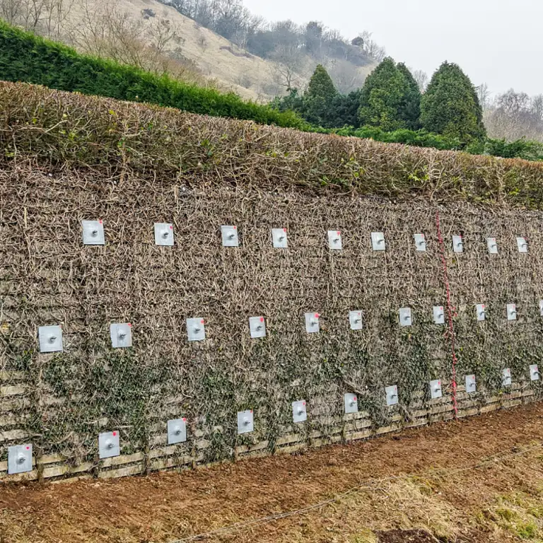 Gloustershire Retaining Wall.png