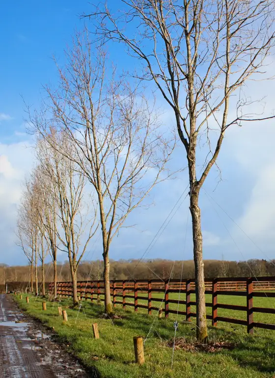 Horticulture & Agriculture