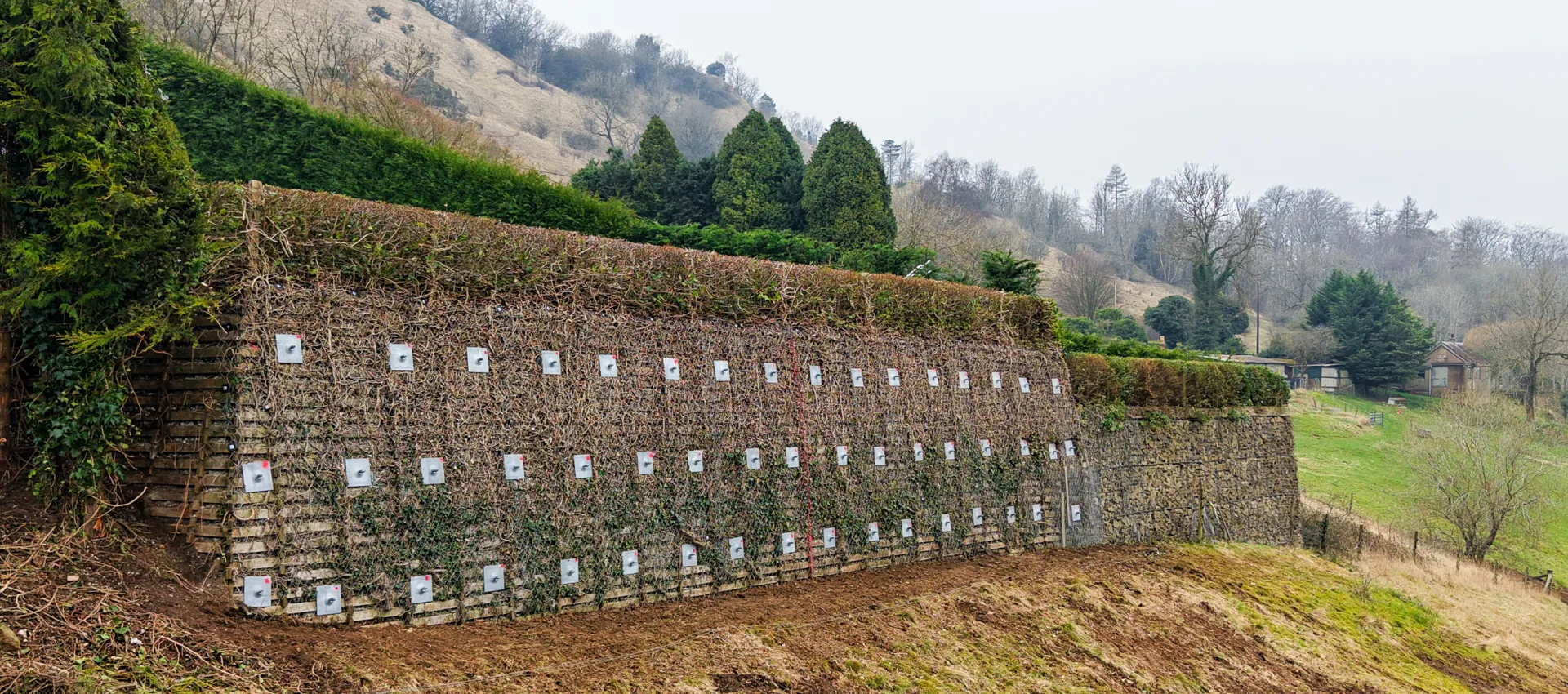 Vulcan Earth Anchor (6).png