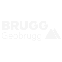 Geobrugg.png